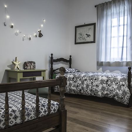 Il Pettirosso B&B Grottaferrata Dış mekan fotoğraf