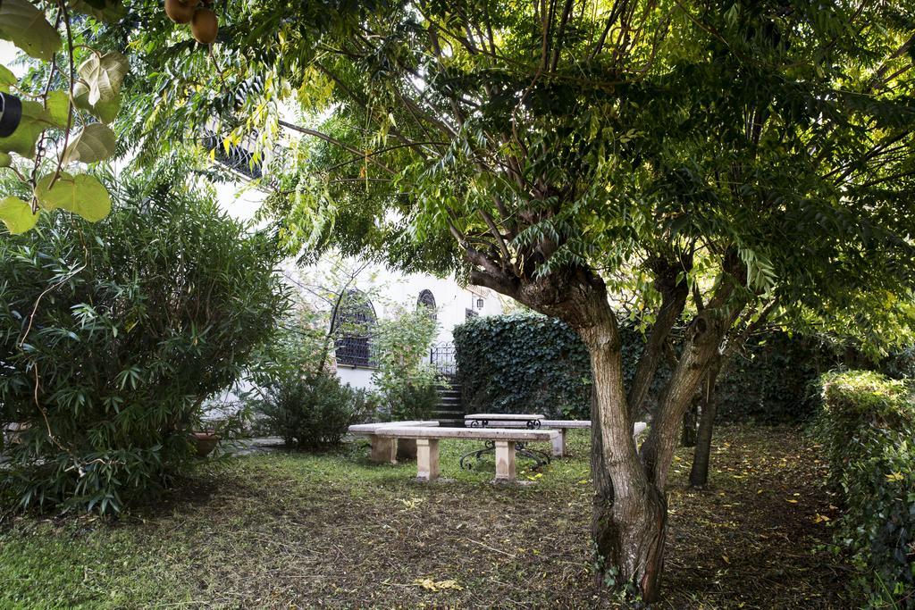 Il Pettirosso B&B Grottaferrata Dış mekan fotoğraf