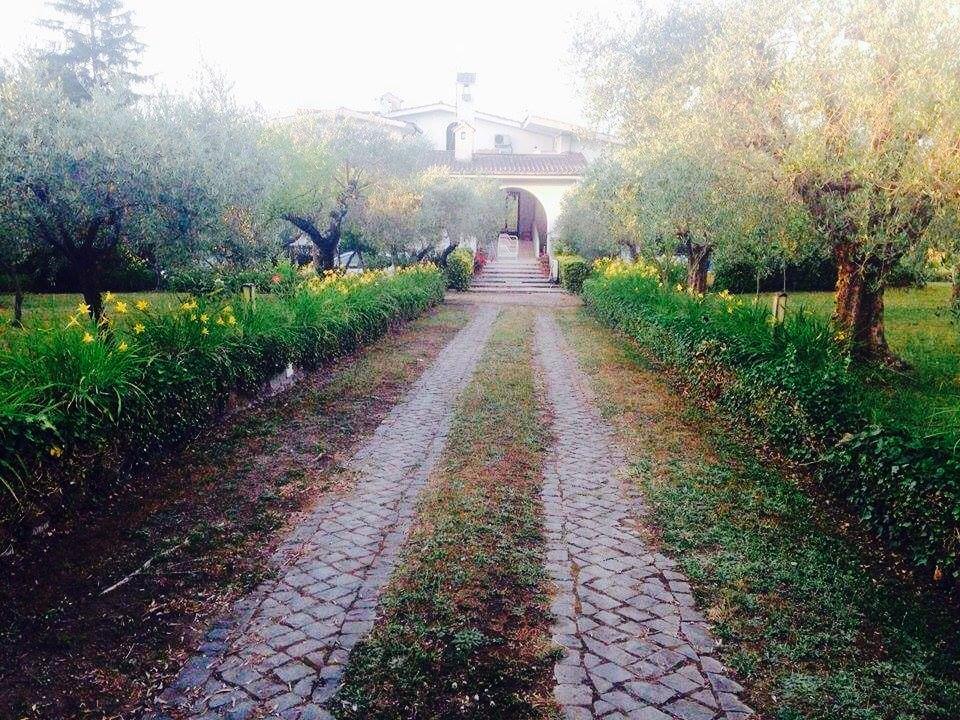 Il Pettirosso B&B Grottaferrata Dış mekan fotoğraf
