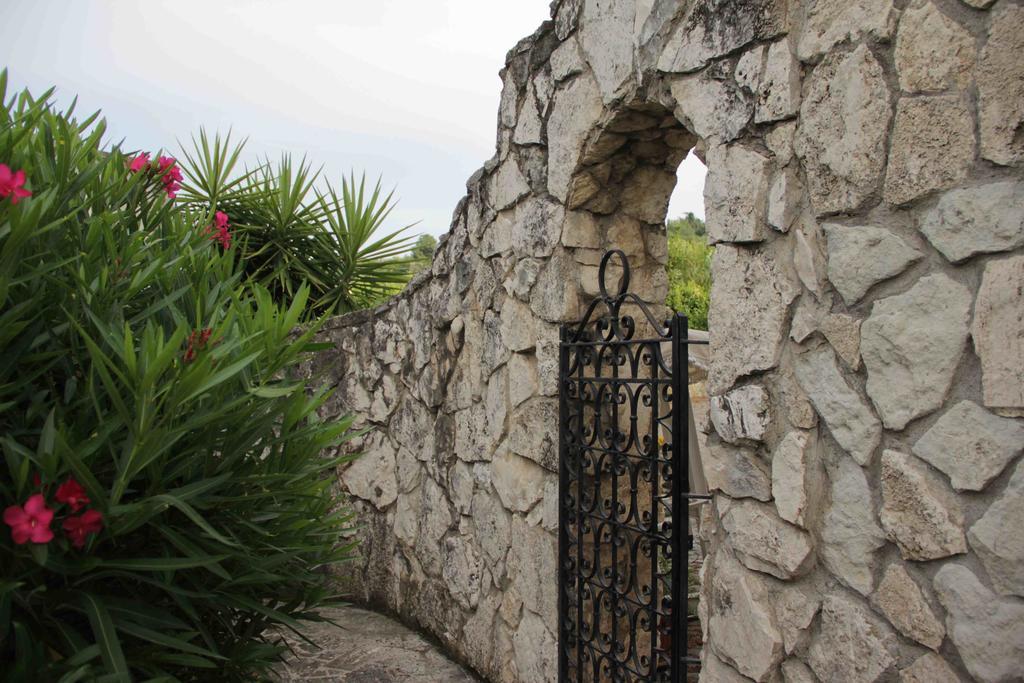 Il Pettirosso B&B Grottaferrata Dış mekan fotoğraf