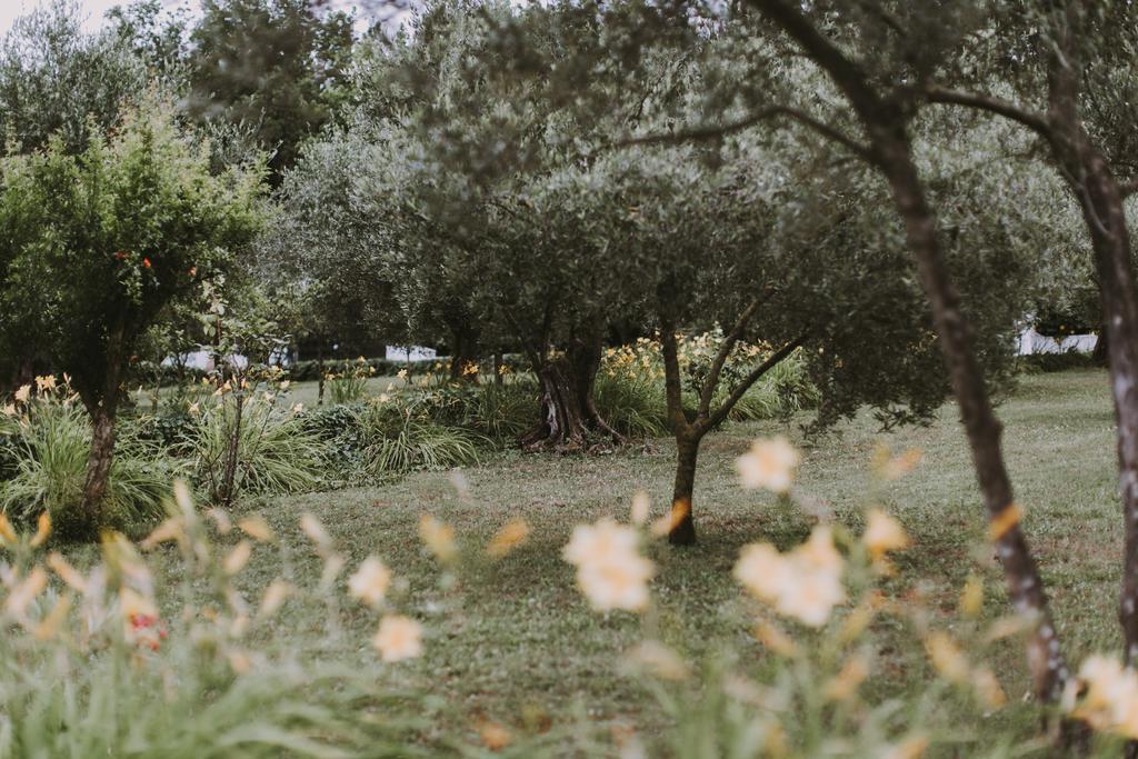 Il Pettirosso B&B Grottaferrata Dış mekan fotoğraf