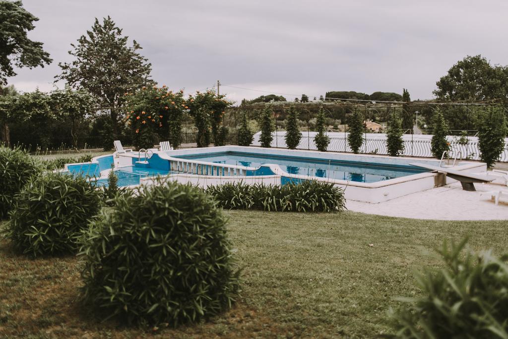 Il Pettirosso B&B Grottaferrata Dış mekan fotoğraf