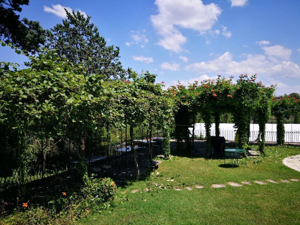 Il Pettirosso B&B Grottaferrata Dış mekan fotoğraf